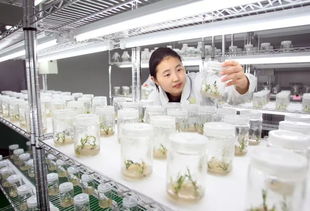 光輝歷程 振興風(fēng)采 黑龍江省慶祝新中國成立70周年攝影作品展 部分作品選登